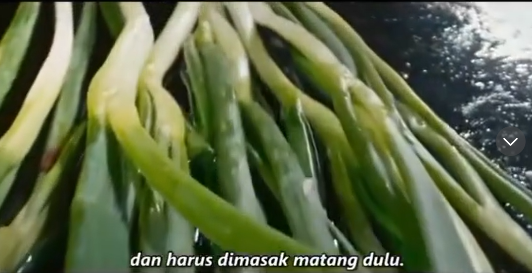 Bahan Pajeon Daun Bawang. (YouTube)
